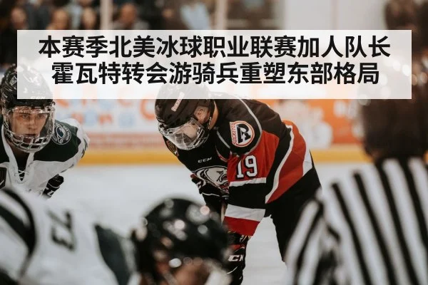 NHL hockey game action